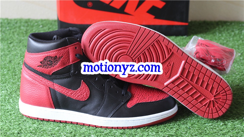 Tumbled Leather Air Jordan 1 OG High Banned 2017